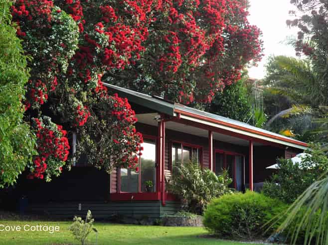 Sanctuary in the Cove, Coopers Beach