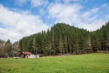  Mangles Valley Road, Murchison