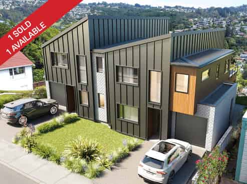 60 Ann Street, Kaikorai
