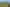 152 Pukehoua Lane, Pirongia