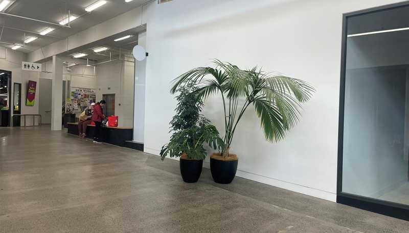  Unit 01, 195 Riddiford Street, Newtown