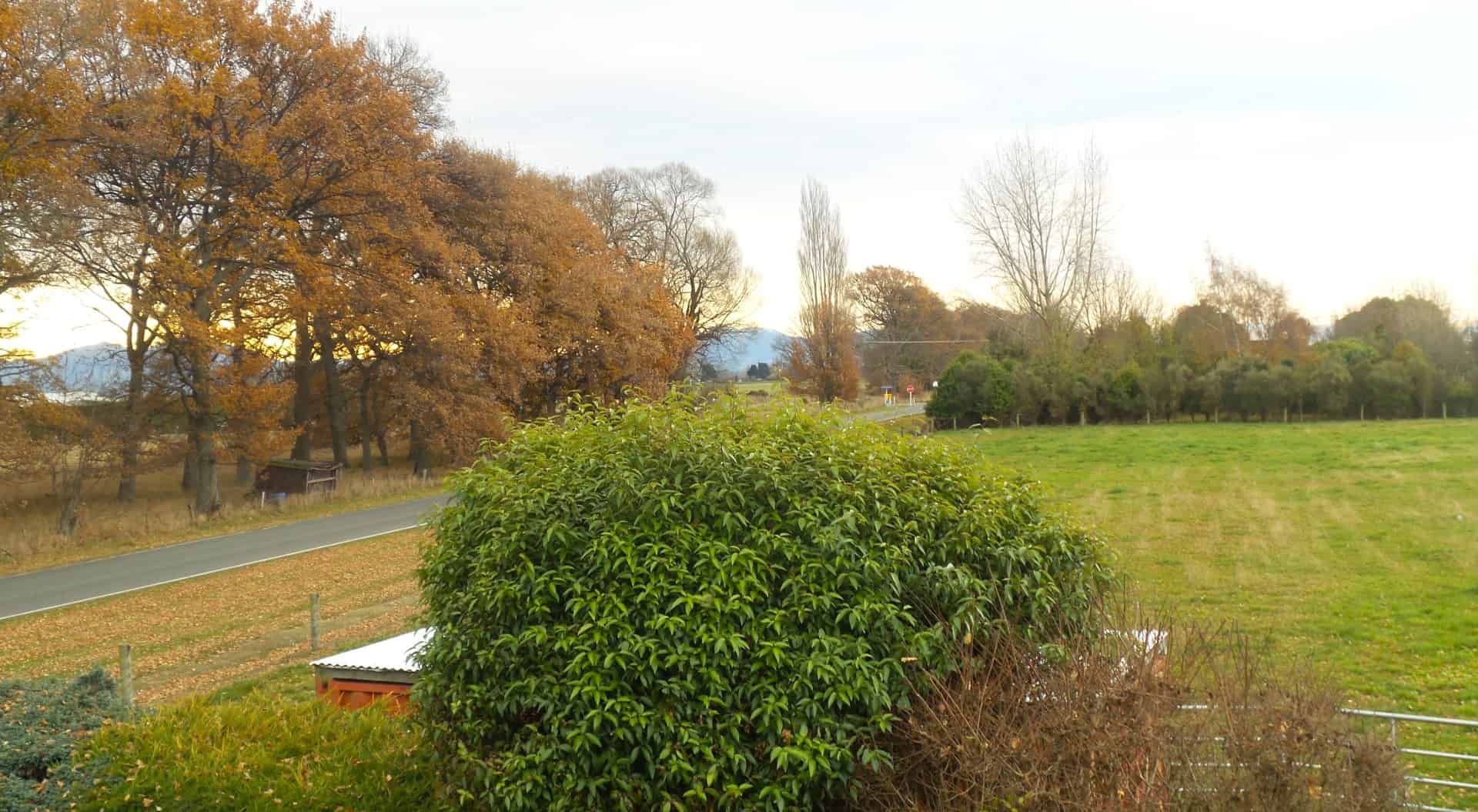 148 McNair Road, Temuka, Timaru For Sale realestate.co.nz