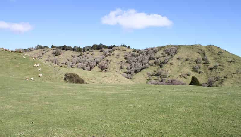 262 Waitaanga North Road, Waitaanga