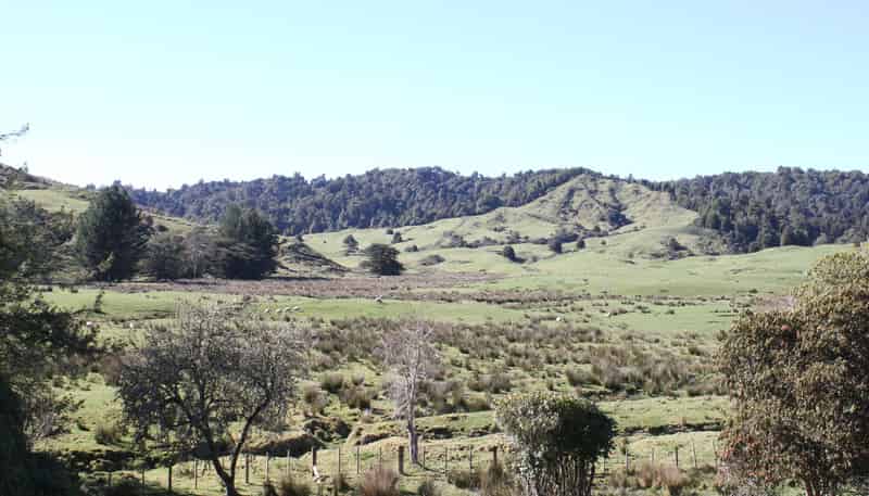 262 Waitaanga North Road, Waitaanga