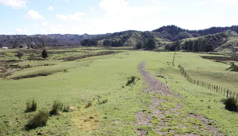 262 Waitaanga North Road, Waitaanga