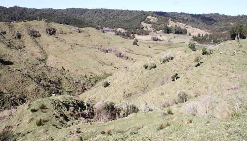 262 Waitaanga North Road, Waitaanga
