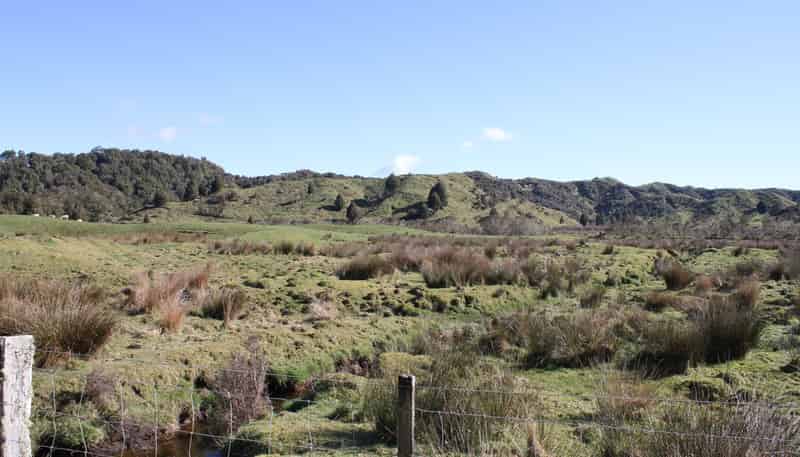 262 Waitaanga North Road, Waitaanga