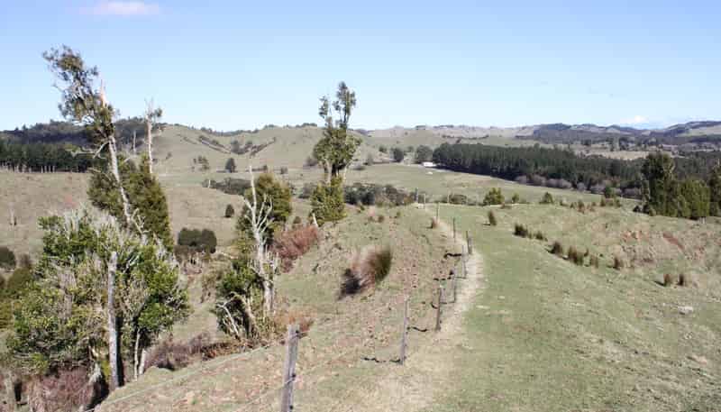 262 Waitaanga North Road, Waitaanga