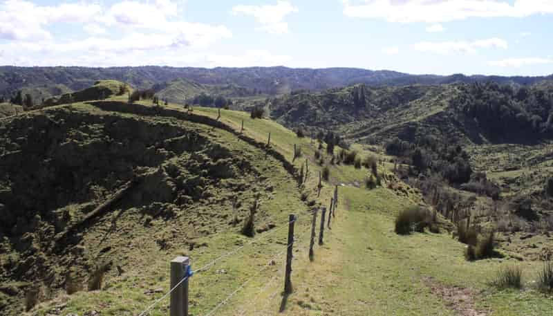 262 Waitaanga North Road, Waitaanga