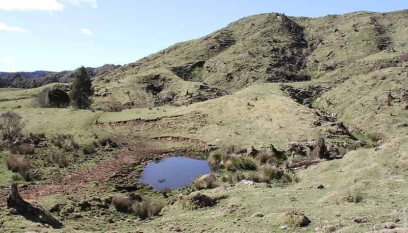 262 Waitaanga North Road, Waitaanga