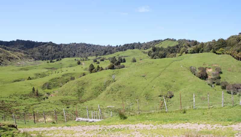 262 Waitaanga North Road, Waitaanga