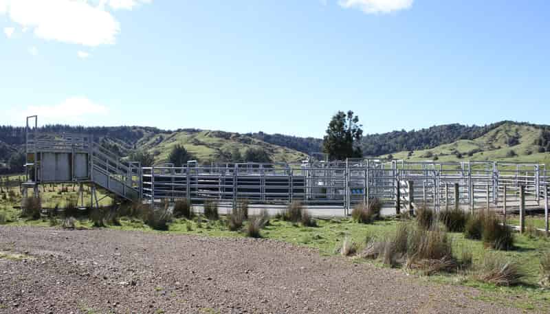 262 Waitaanga North Road, Waitaanga