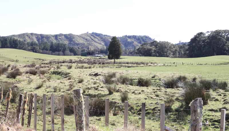 262 Waitaanga North Road, Waitaanga