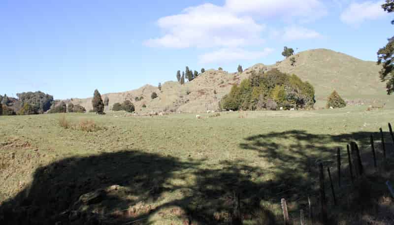 262 Waitaanga North Road, Waitaanga