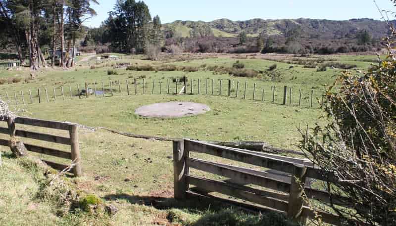 262 Waitaanga North Road, Waitaanga