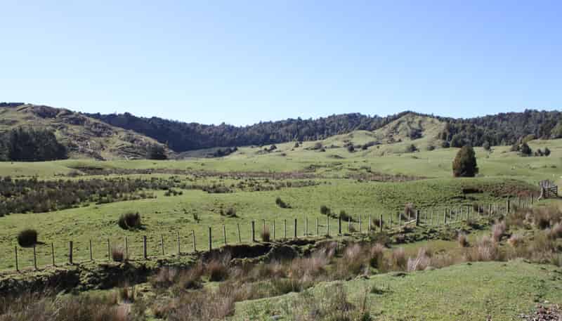 262 Waitaanga North Road, Waitaanga