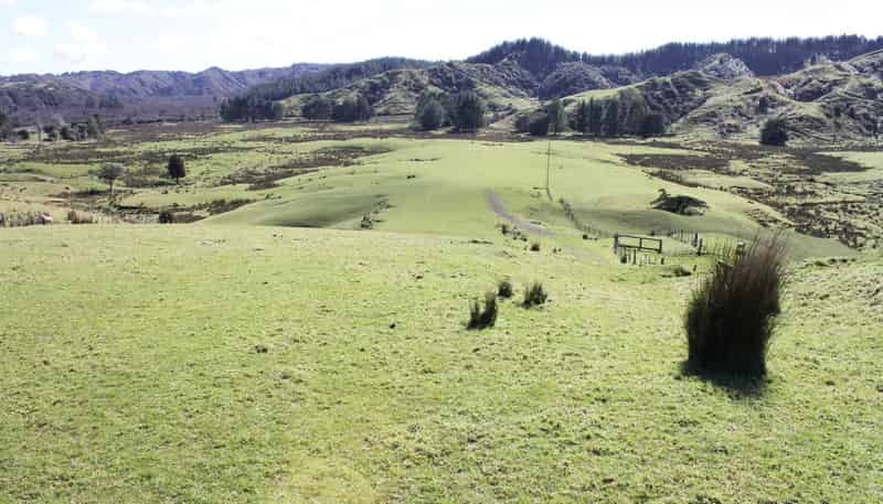 262 Waitaanga North Road, Waitaanga