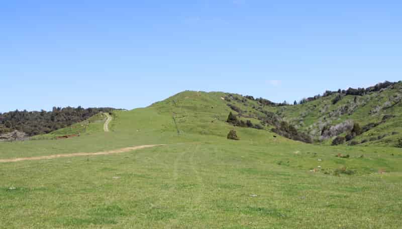 262 Waitaanga North Road, Waitaanga