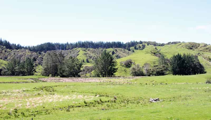 262 Waitaanga North Road, Waitaanga