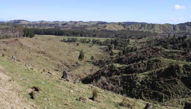 262 Waitaanga North Road, Waitaanga
