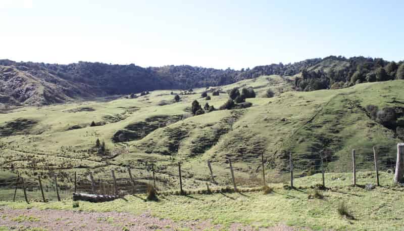 262 Waitaanga North Road, Waitaanga