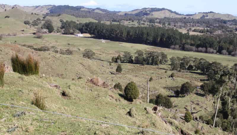 262 Waitaanga North Road, Waitaanga