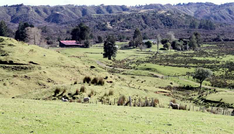 262 Waitaanga North Road, Waitaanga