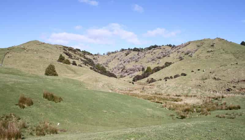 262 Waitaanga North Road, Waitaanga