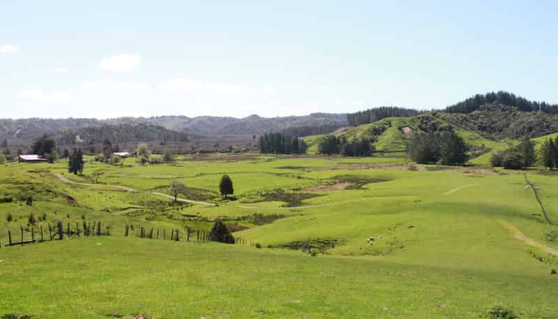 262 Waitaanga North Road, Waitaanga