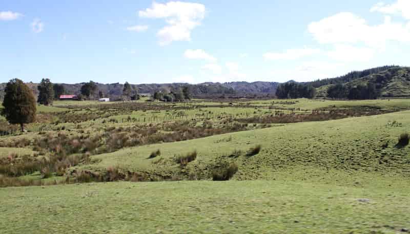 262 Waitaanga North Road, Waitaanga