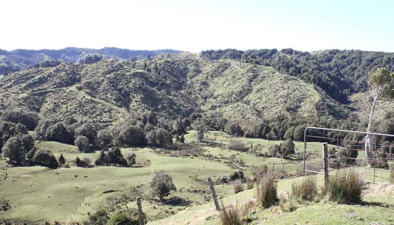 262 Waitaanga North Road, Waitaanga