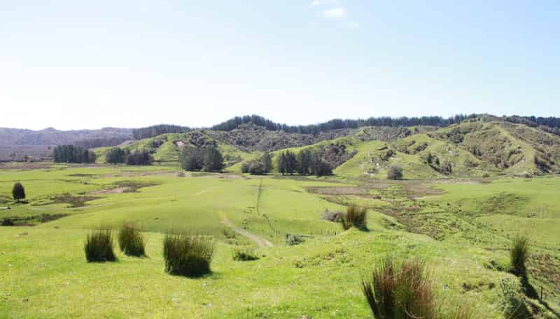 262 Waitaanga North Road, Waitaanga