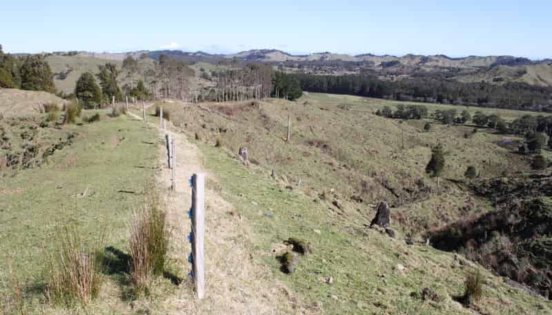 262 Waitaanga North Road, Waitaanga