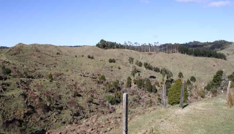 262 Waitaanga North Road, Waitaanga