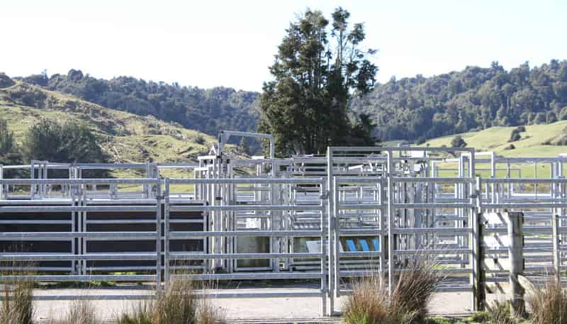 262 Waitaanga North Road, Waitaanga