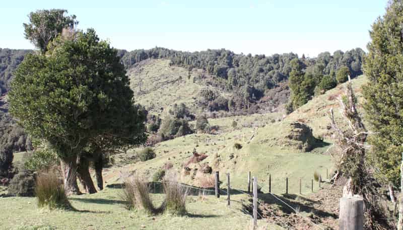 262 Waitaanga North Road, Waitaanga