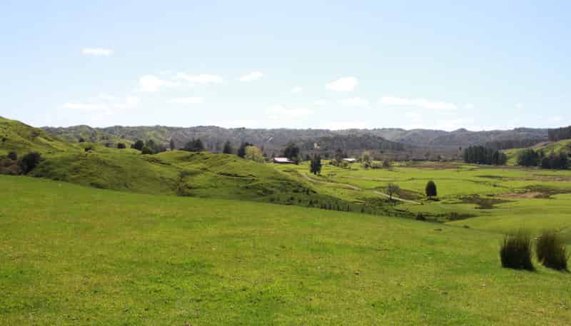 262 Waitaanga North Road, Waitaanga