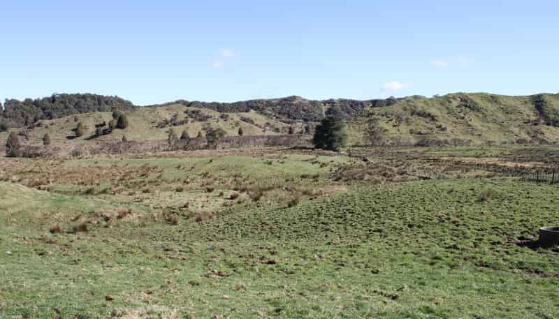 262 Waitaanga North Road, Waitaanga