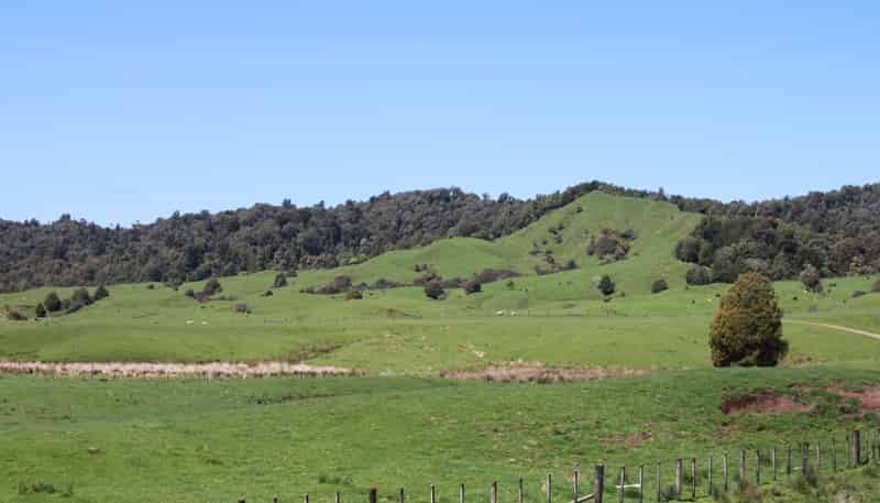 262 Waitaanga North Road, Waitaanga