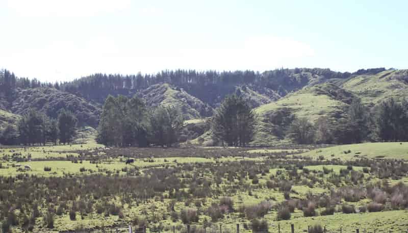 262 Waitaanga North Road, Waitaanga