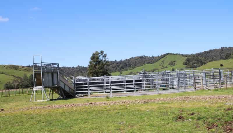 262 Waitaanga North Road, Waitaanga