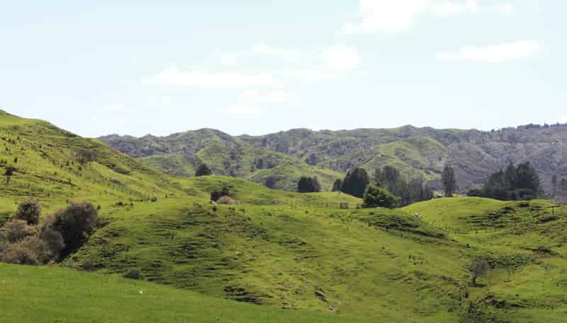 262 Waitaanga North Road, Waitaanga