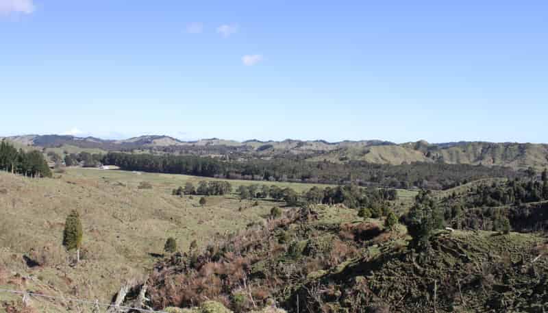 262 Waitaanga North Road, Waitaanga