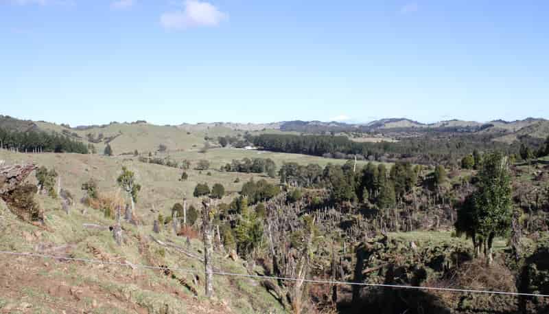 262 Waitaanga North Road, Waitaanga