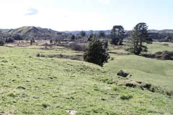 1427 Waitaanga Road, Waitaanga
