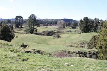 1427 Waitaanga Road, Waitaanga