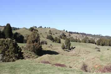 1427 Waitaanga Road, Waitaanga