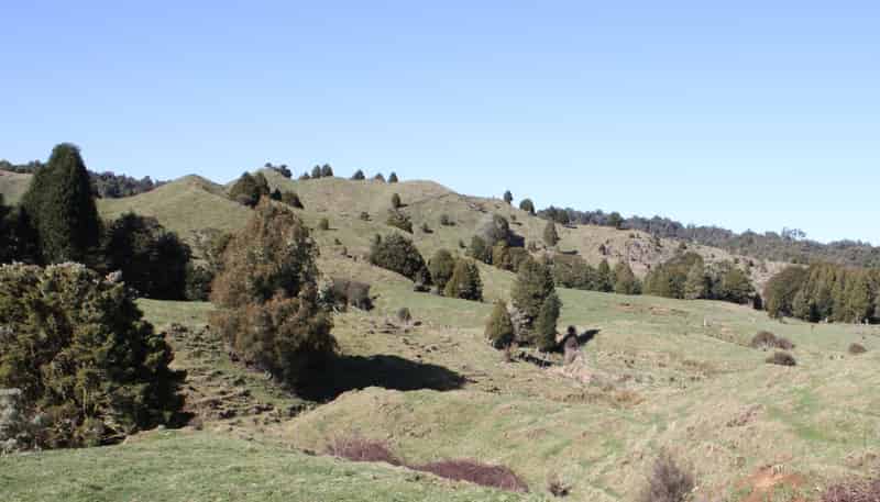 1427 Waitaanga Road, Waitaanga