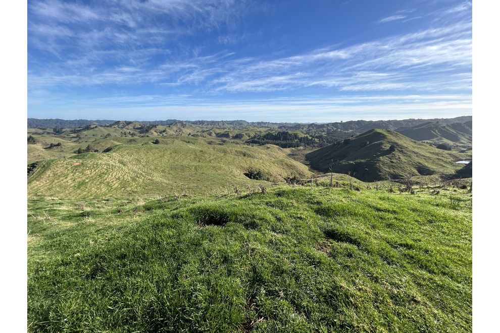 484 Mangapapa Road, Tangarakau, Stratford - For Sale - realestate.co.nz