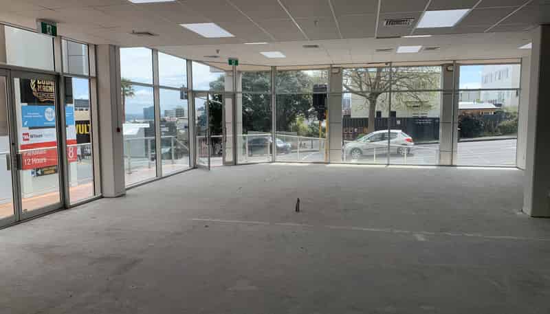 Ground/135 Newton Road, Newton